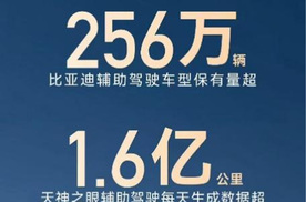 256 万 + 用户共同选择，比亚迪辅助驾驶跑出加速度