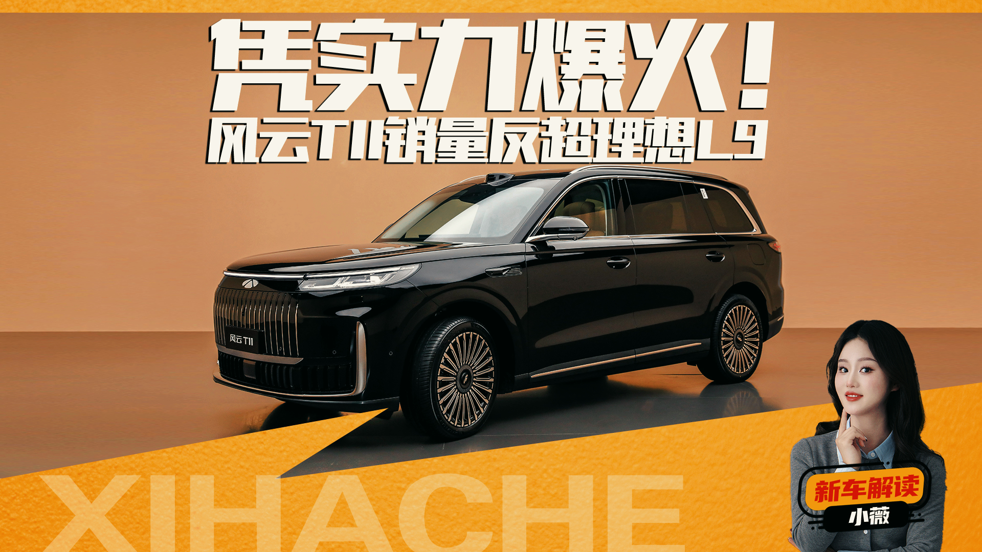 ����Ѻע��������������T11ƾʲô������������L9