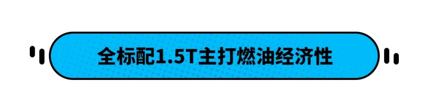 柠檬平台打造，推出6款配置可选，哈弗初恋购车手册