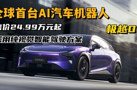 售价24.99万元起，采用纯视觉智驾方案，国产AI汽车机器人-极越01