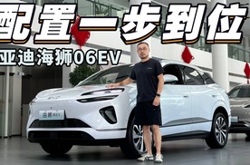 天神之眼C、云辇-C，海狮06EV满血满配值得入手吗？