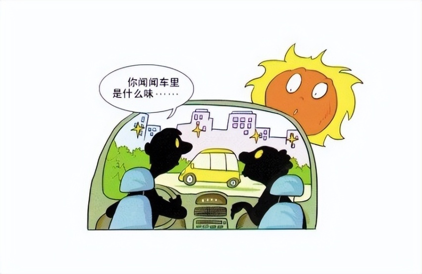 酷暑当下 好猫vs海豚 健康环保谁更强？