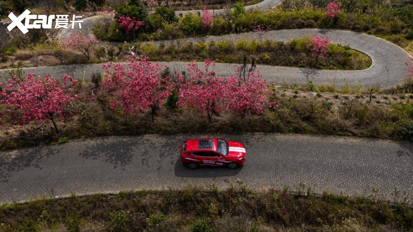 种草10万级SUV，为什么长安欧尚X5成了首选项？