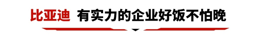 放弃合资车标选了这些车，只因它们才是全村的希望！