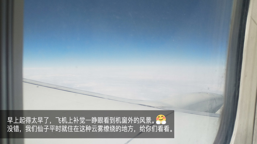吉利幸福花田测和初恋的夏天—彩云之南西双版纳