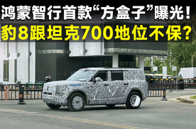 最具路虎神韵，鸿蒙智行首款方盒子亮相，虎口夺食还是瞎凑热闹？