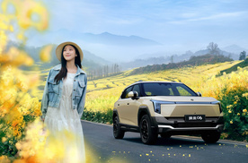 在新能源车卷到极致的2025年，10万元还能买到什么样的纯电SUV？