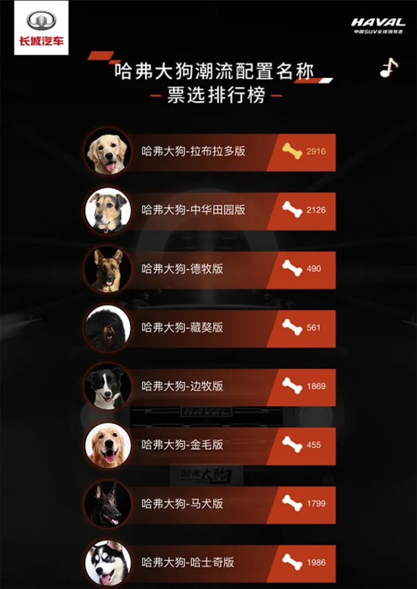 预售12.5万起，全新SUV车型大狗会是哈弗SUV新爆款吗？
