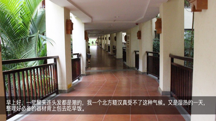 吉利幸福花田测和初恋的夏天—彩云之南西双版纳