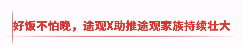 年轻人的个性新选择,途观X值不值得买?
