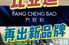 比亚迪个性化品牌方程豹，将会砸了谁的饭碗？