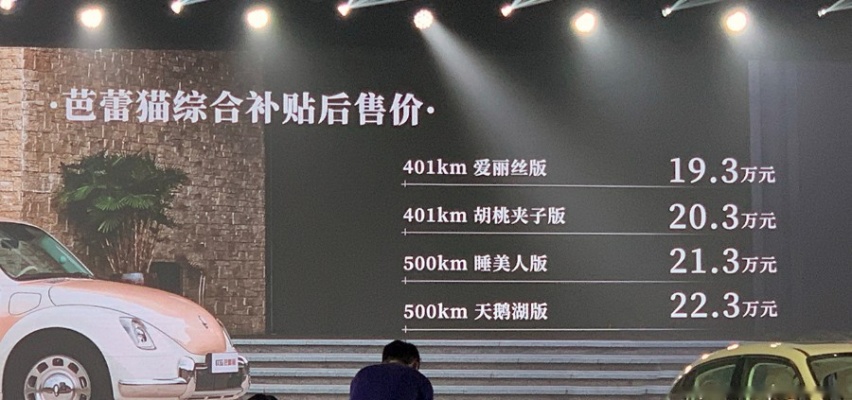 售价19.3万元起，欧拉芭蕾猫上市，只为女性专属