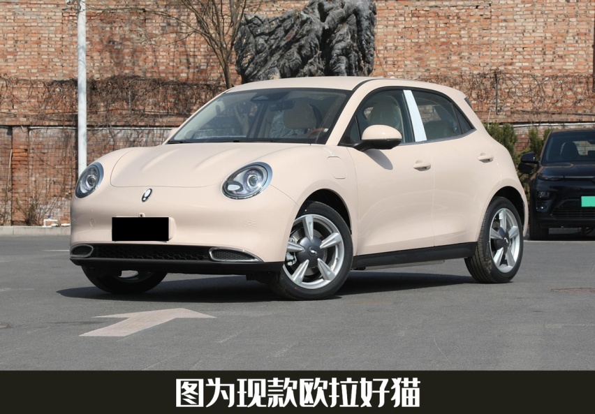“欧拉”推限时活动，至高现金减3万，还有3000元保险补贴
