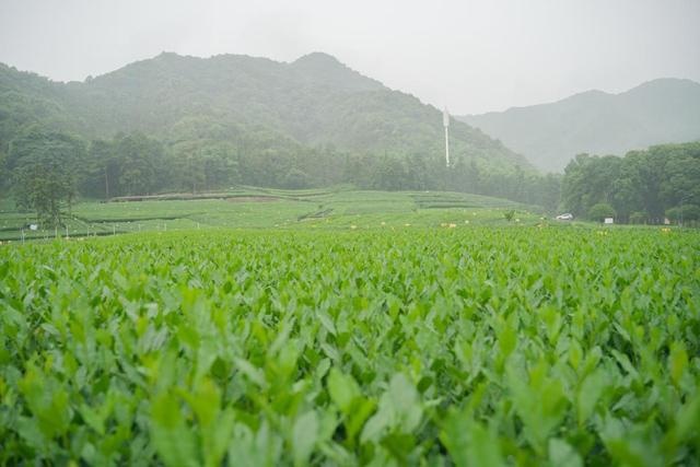 自驾新劲炫游玩的最后一站，杭州西湖攻略分享