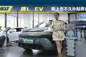 比亚迪唐L EV：上市不久综合补贴很多