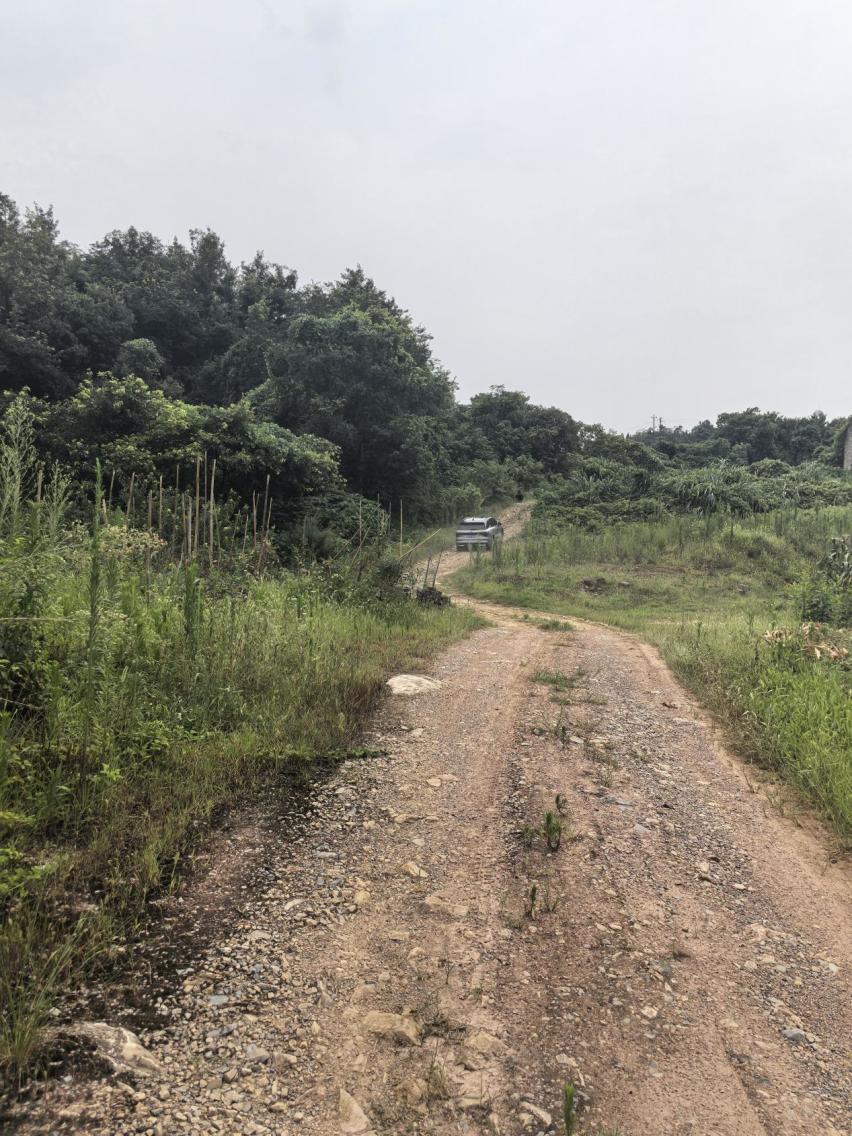 24款提车刚一周，跟朋友去山顶露营基地一览山城风光