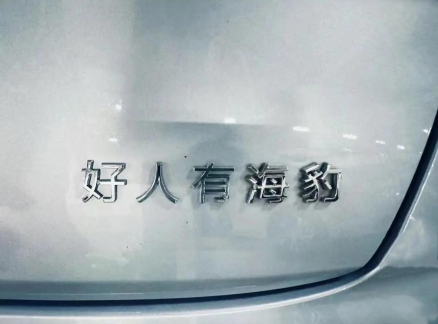 车主们的精神状态不错，爆改车尾标识，各式各样全是“整活”