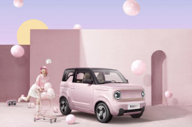 “国宝级”微型电车吉利熊猫mini正式上市  3.99万元认养回家