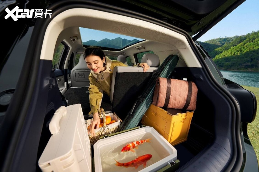 “不玩虚的”才是真诚意,零跑A10上市定价够直接,6.58万元起