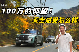 100万的仰望！乘坐感受怎么样？