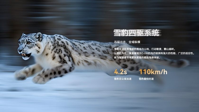 售19.99万元起，零百加速4.26秒，星途瑶光C-DM上市