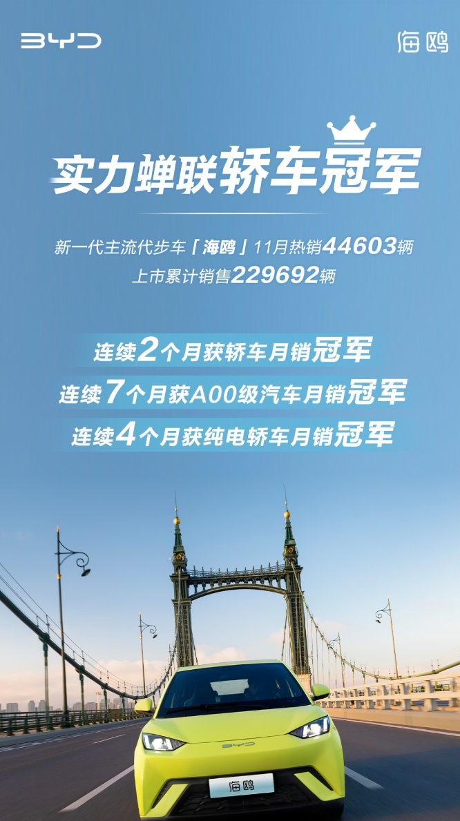 A00级的扛把子，比亚迪海鸥11月再次热销