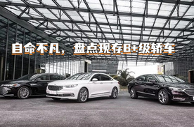 自命不凡，盘点现存B+级轿车