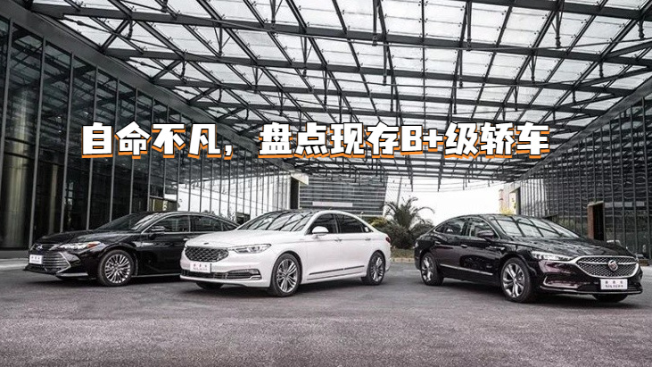 自命不凡，盘点现存B+级轿车
