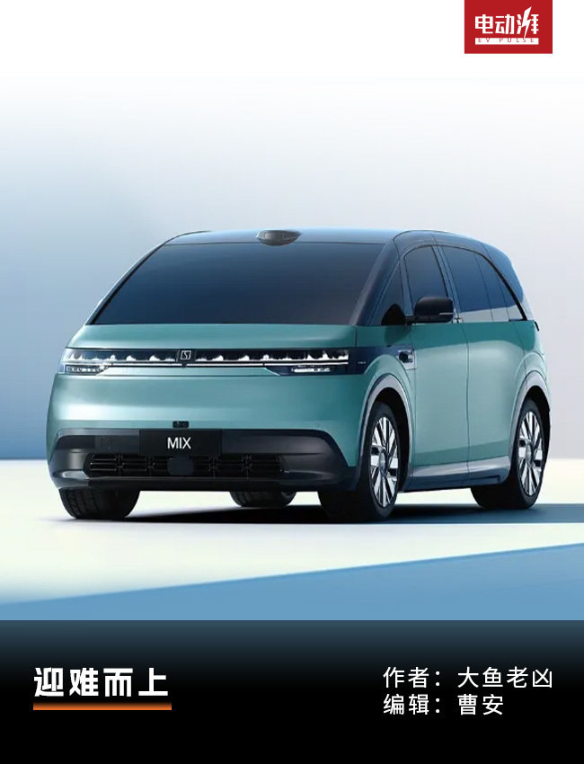 极氪MIX：新物种的下场是什么？