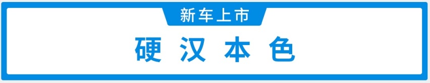 20.98万起，2.0T+8AT哈弗H9 2020款正式上市