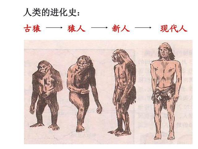 专家发现未知人类“幽灵人”基因 确认“幽灵种群”存在的证据
