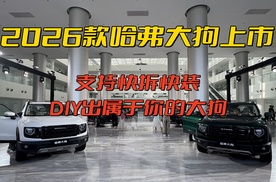 支持快拆快装，DIY出属于你的大狗，2026款哈弗大狗上市