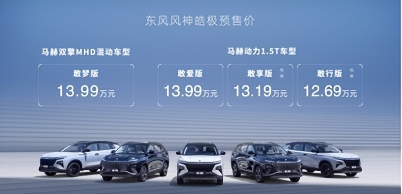 13万级混动SUV皓极预售火爆，4小时订单超7000