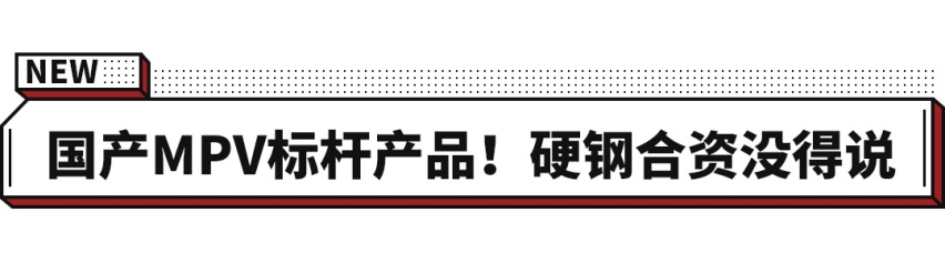 20多万也不输埃尔法？这些七人车二排无敌 油耗还很低！