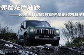 哈弗猛龙燃油版：没跑过环塔的方盒子是正经方盒子吗？