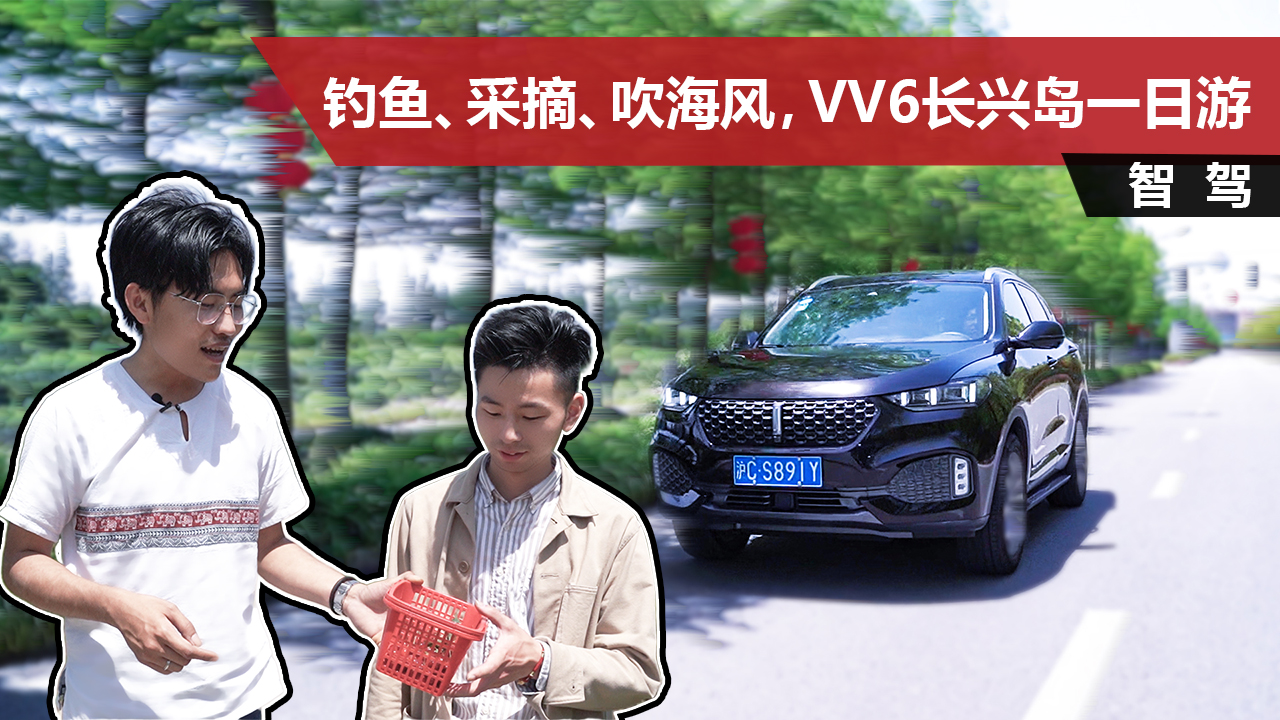 2.0TǿƼ÷ḻԼ2020WEY VV6