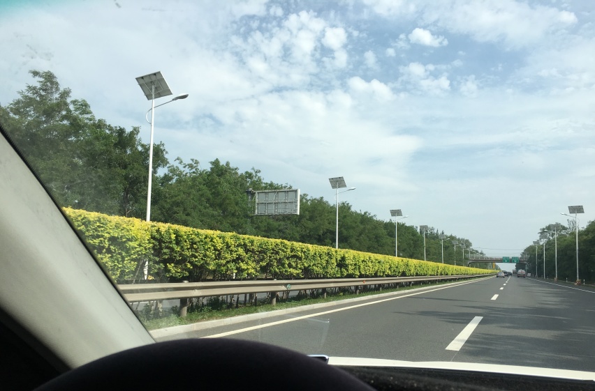 租车要选择价格偏高的租车公司，便宜的租车行为什么不能选？