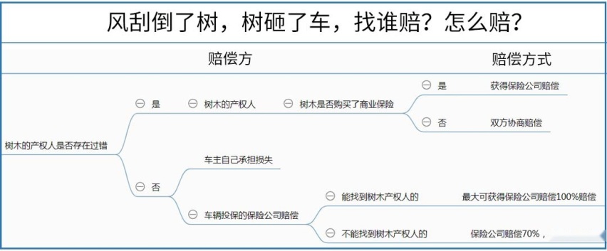 大风刮倒了树，树砸了车，该找谁赔？