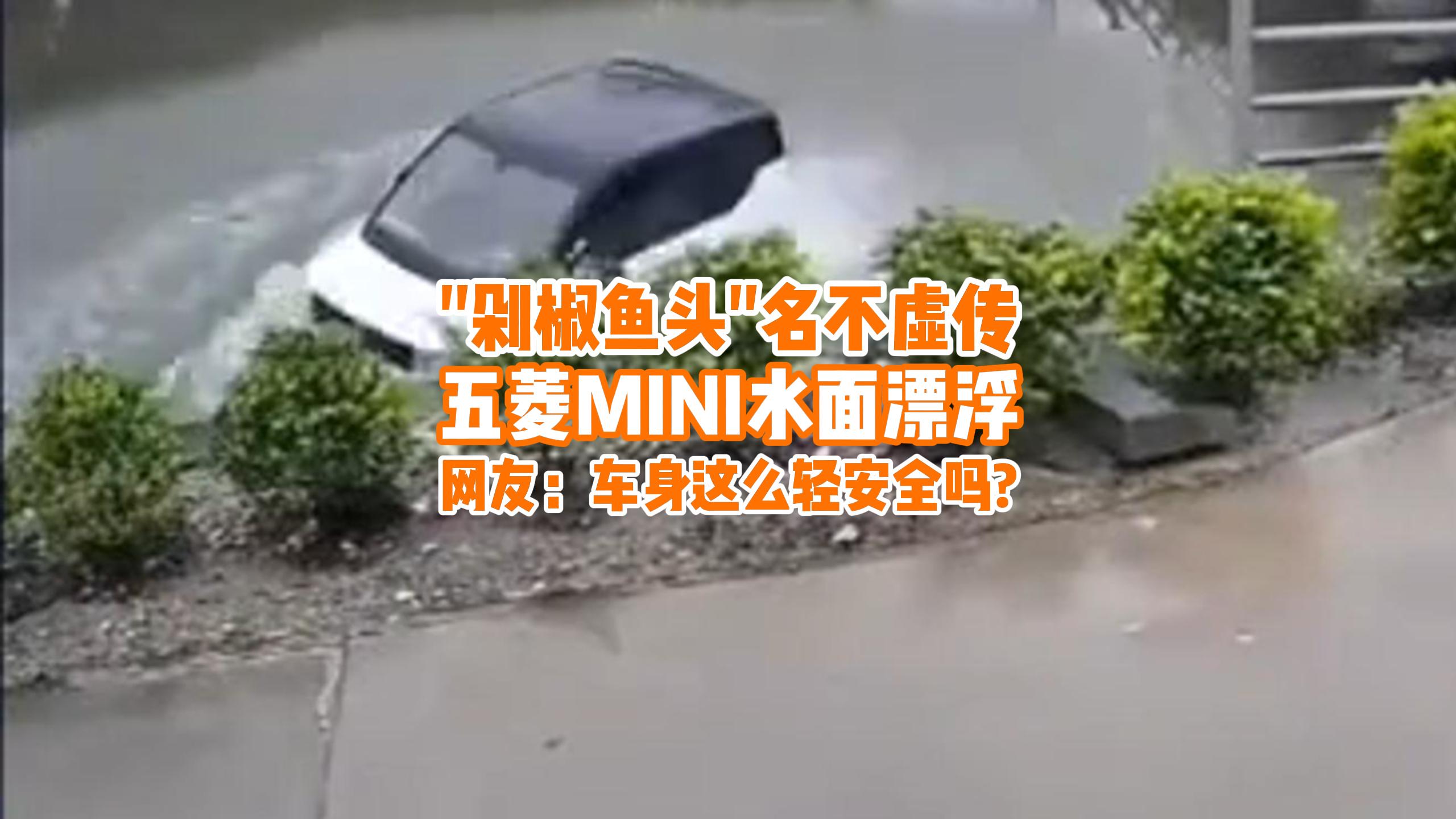 "剁椒鱼头"五菱MINI水面漂浮，网友质疑：车身这么轻，安全吗？