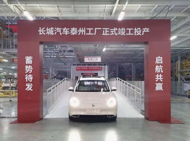 欧拉好猫是一只复古的“潮猫”