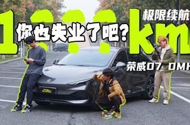 年轻人失业了怎么办？跑滴滴还是卖炸鸡