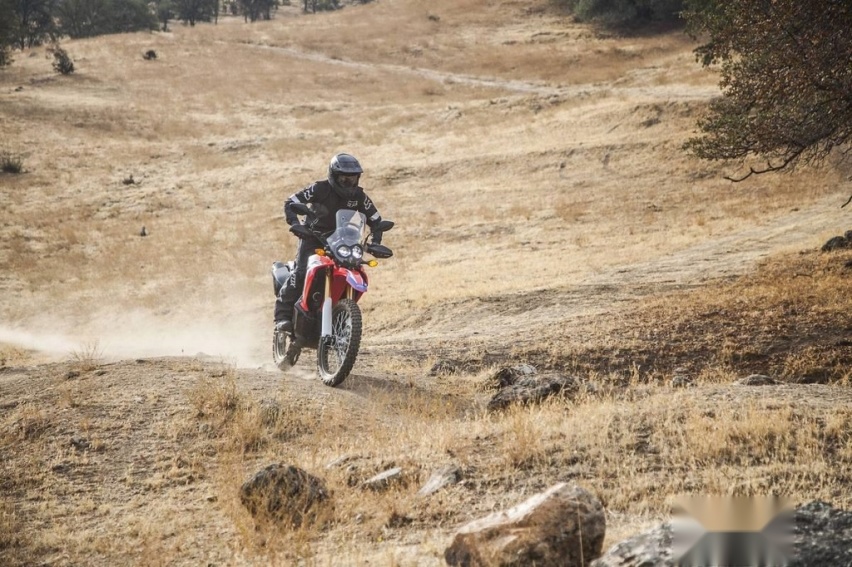 越野拉力二合一 本田CRF250L Rally 2020
