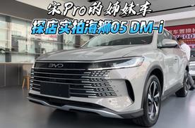 宋Pro的姊妹车 探店实拍海狮05 DM-i