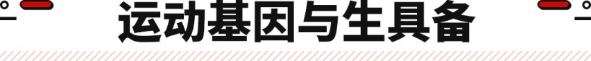 中国版帕梅！无框车门/电动尾翼/6秒级性能 全新MG7正式发布