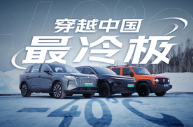 -40°C，汽油/增程/插混，哪种车最好使?