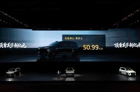 岚图泰山黑武士版官宣3月登场 胡军打响指揭幕限定车型