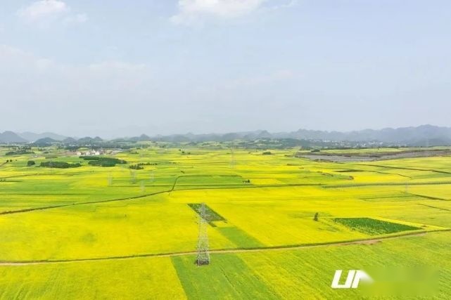 渐入佳境｜UNI-K智电iDD