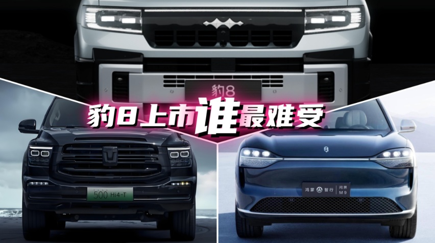 方程豹8上市 谁最难受？