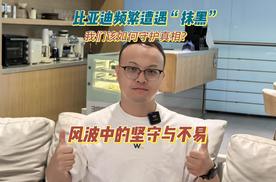 风波中的坚守与不易：比亚迪频繁遭遇“抹黑”，我们该如何守护真相？