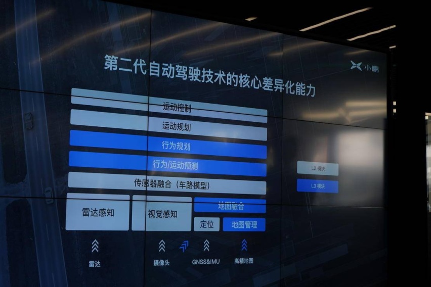 小鹏35.JPG